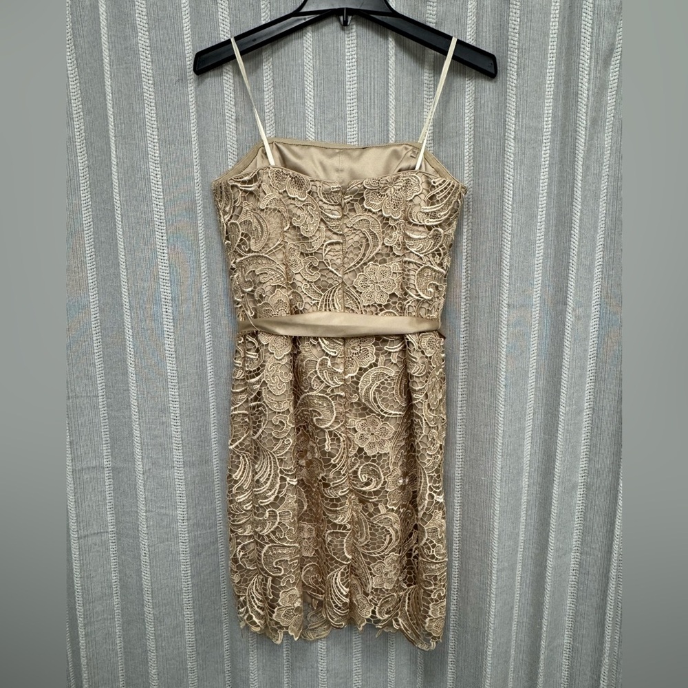 Adrianna Papell Strapless Embroidered Lace Cocktail Dress Gold Beige Size‎ 6 EUC - Picture 8 of 15